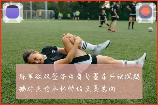绿军欲双签字母哥与墨菲并试探鹈鹕对杰伦和怀特的交易意向